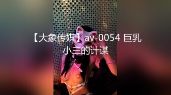 【大象传媒】av-0054 巨乳小三的计谋