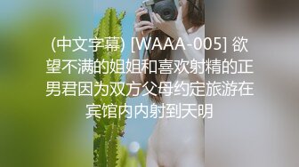 (中文字幕) [WAAA-005] 欲望不满的姐姐和喜欢射精的正男君因为双方父母约定旅游在宾馆内内射到天明