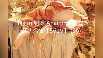 Naimi奶咪 Anaimiya 排重 超大合集【561V】 (36)