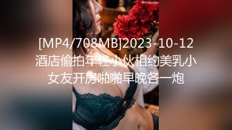 [MP4/708MB]2023-10-12酒店偷拍年轻小伙相约美乳小女友开房啪啪早晚各一炮