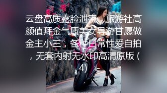 云盘高质露脸泄密，旅游社高颜值拜金气质美女导游甘愿做金主小三，各种日常性爱自拍，无套内射无水印高清原版 (4)