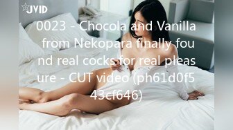 0023 - Chocola and Vanilla from Nekopara finally found real cocks for real pleasure - CUT video (ph61d0f543cf646)