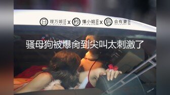 骚母狗被爆肏到尖叫太刺激了