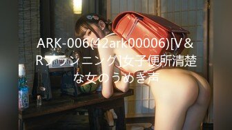 ARK-006(42ark00006)[V＆Rプランニング]女子便所清楚な女のうめき声