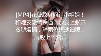 [MP4]花臂纹身网红小姐姐！和炮友激情操逼！沙发上张开双腿爆插，骑乘位扭动细腰，屁股上下套弄