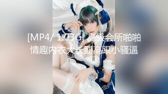 [MP4/ 1.03G] 高级会所啪啪情趣内衣大长腿高跟小骚逼