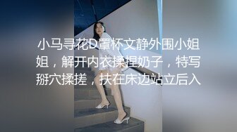 小马寻花D罩杯文静外围小姐姐，解开内衣揉捏奶子，特写掰穴揉搓，扶在床边站立后入