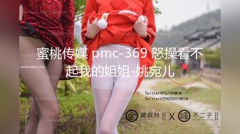 蜜桃传媒 pmc-369 怒操看不起我的姐姐-姚宛儿