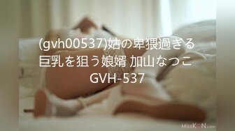 (gvh00537)姑の卑猥過ぎる巨乳を狙う娘婿 加山なつこ GVH-537