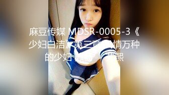 麻豆传媒 MDSR-0005-3《少妇白洁》第三章 风情万种的少妇 苏畅❤️艾熙